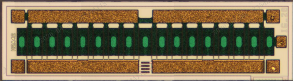 D2P036DG2